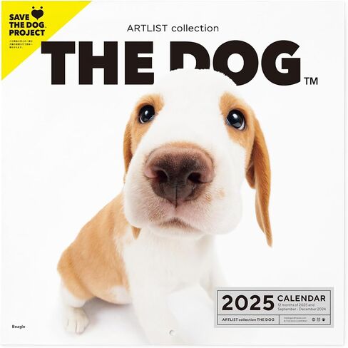 [ArtlistCollectionTHE DOG] تقويم الحائط ≪Beagle≫ من سبتمبر 2024 إلى ديسمبر 2025-11.4 × 11.4 بوصة in Saudi Arabia