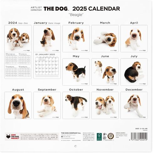 [ArtlistCollectionTHE DOG] تقويم الحائط ≪Beagle≫ من سبتمبر 2024 إلى ديسمبر 2025-11.4 × 11.4 بوصة in Saudi Arabia