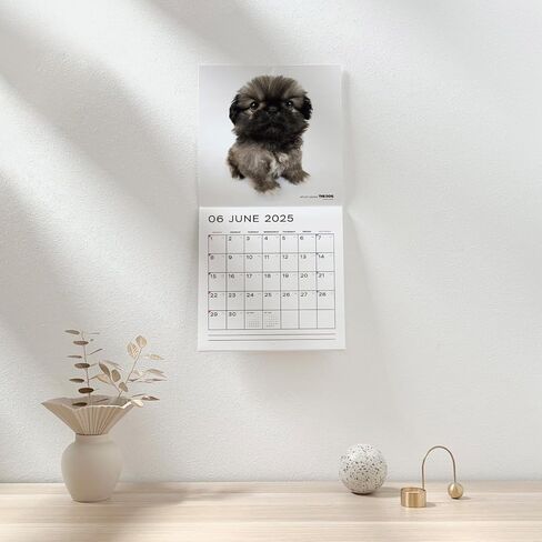 [ArtlistCollectionTHE DOG] تقويم الحائط ≪Beagle≫ من سبتمبر 2024 إلى ديسمبر 2025-11.4 × 11.4 بوصة in Saudi Arabia