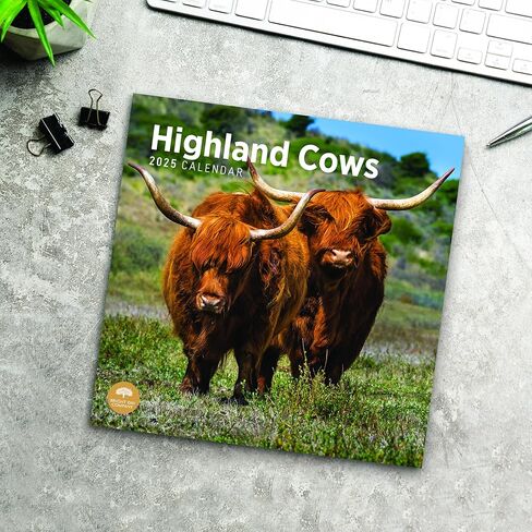 2025 Highland Cows Monthly Wall Calendar by Bright Day, 12 x 12 Inch Cute Nature Photography Gift in Saudi Arabia