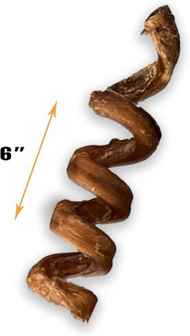 6" Bully Stick Springs for Dogs - Fun Challenging Single Ingredient Chew Dog Treats - Fully Digestible Pizzle Sticks (Pack of 10) in Kuwait