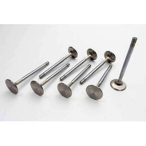 Manley Performance Manley Small Block Chevrolet Street Master Street Flo Intake Valves 2.02in Dia