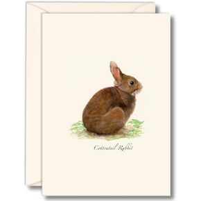 Earth Sky + Water - Cottontail Rabbit Notecard Set - 8 Blank Cards with Envelopes