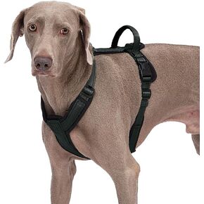 Dog Harness Adjustable Breathable Dog Harness with No Pull PVC Handle, Reflective Dog Vest Harnesses for Small Medium Large Dogs, Easy to Walking, Training, Camping, Control Escape