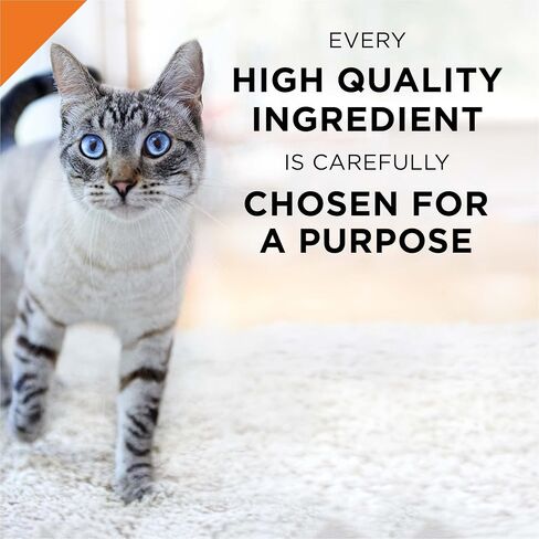 Purina Pro Plan Grain Free, High Protein Pate Wet Cat Food, Complete Essentials Ocean Whitefish & Tuna Entree - (Pack of 24) 3 oz. Cans in Saudi Arabia