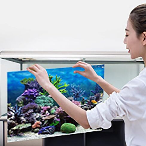 pocreation حوض السمك خلفية الزينة الأسماك، خلفية خزان الأسماك 10 جالون quarium خلفية لاصقة عالم البحار خلفية ملصق التلفزيون خلفية الصورة خلفية، خلفية للأسماك طويل القامة 10 جالون in Saudi Arabia