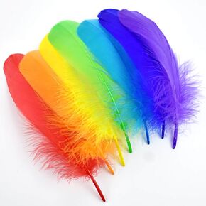 Piokio 100 pcs Natural Colorful Goose Feathers in Bulk 6-8 inch(15-20 cm) for Cupcake Decorations, DIY Art and Dreamcatcher