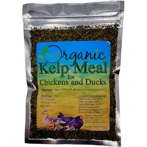 Organic Kelp Meal Feed for Chickens and Ducks (4 oz) Vitamin Supplement