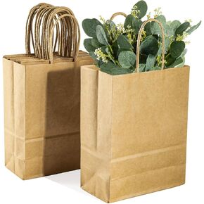 MAQIHAN Small Kraft Bags with Handles - Kraft Paper Bags Brown Kraft Bag Small Paper Craft Bag with Candy Birthday Party Favor Christmas Valentines Shopping Small Business Bags (12)