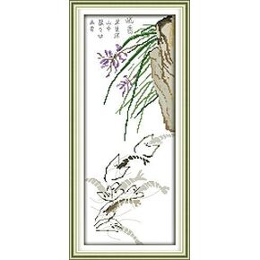 Happy Forever Cross Stitch Kits 11CT Stamped Patterns for Kids and Adults, Preprinted Embroidery kit for Beginner, Animals 7 (D120 Art of Hummingbirds, Size 12''x23'')
