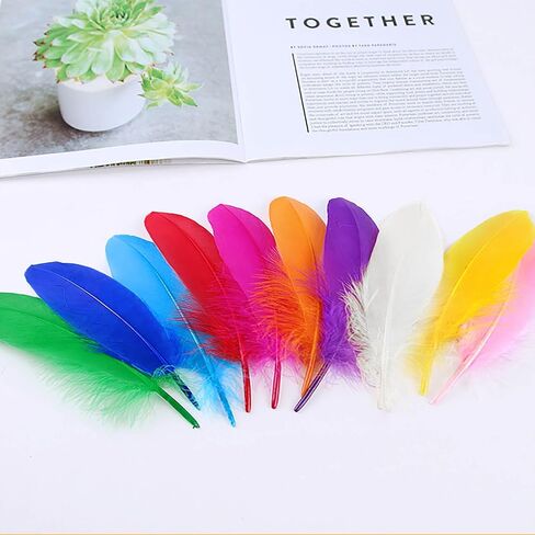 Piokio 100 pcs Natural Colorful Goose Feathers in Bulk 6-8 inch(15-20 cm) for Cupcake Decorations, DIY Art and Dreamcatcher in Saudi Arabia