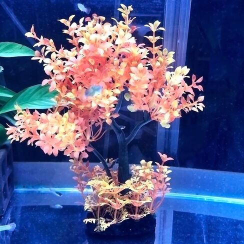 ديكورات حوض السمك ميبوكباي، ديكور حوض السمك البرتقالي، نباتات حوض السمك المزيفة، شجرة نباتات بلاستيكية صناعية in Kuwait