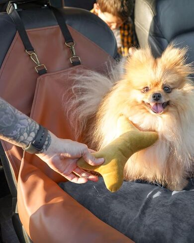 مقعد سيارة للكلاب الصغيرة - مقاعد خلفية للسيارة قابلة للغسل - سرير سفر للكلاب - مقعد سيارة للحيوانات الأليفة للكلاب - مقعد سيارة معزز للكلاب متوسطة الحجم وملحقات الجراء (بيجي، حجم كامل) in Kuwait