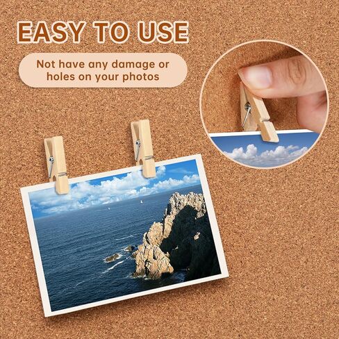 10 Colors Wooden Push Pin Clips 50pcs Colorful Cute Pushpins Fun Thumb Tacks for Bulletin Board Cork Board Wall Corkboard for Offices School Classroom Teacher Decor Supplies Accessories in Kuwait