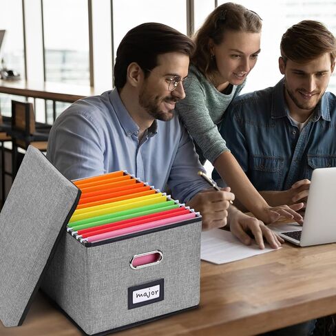 EOOUT 2 Pack File Organizer Box, File Box for Hanging Files, File Organizer Box with Handles, File Storage Organizer for Letter/Legal - Dark Gray in Saudi Arabia