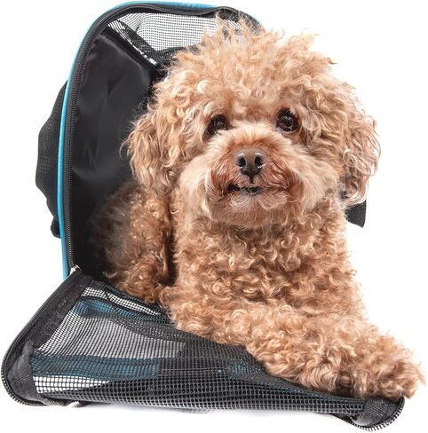 Pet Life 'Altitude-Force' Airline Pet Carrier - Sporty Zippered and Folding Collapsible Travel Cat and Dog Carrier - Travel Pet Carrier with Included Over-The-Shoulder Straps and Pet Mat in Saudi Arabia