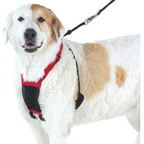 حزام شبكي مضاد للسحب من يوبي بابي، مقاسات متعددة (متوسط، أحمر) in Kuwait