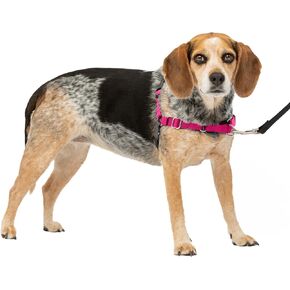 PetSafe Easy Walk No-Pull Dog Harness - The Ultimate Harness to Help Stop Pulling - Take Control & Teach Better Leash Manners - Helps Prevent Pets Pulling on Walks, Small/Medium, Raspberry/Gray