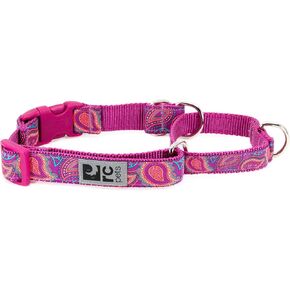 طوق كلب لتدريب الكلاب من آر سي بيتس مقاس 1 بوصة، مقاس 1 بوصة، مقاس كبير، بيزلي ساطع in Kuwait