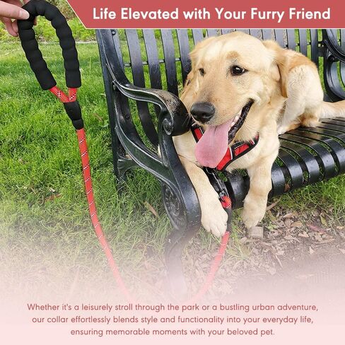 Reflective Slip Leash for Dogs with Soft Padding - Adjustable Heavy Duty Dog Leash for Dogs 2 in 1 Collar and 6 Foot Dog Leash for Training - Highly Reflective Nylon Slip Leash for Dogs in Saudi Arabia