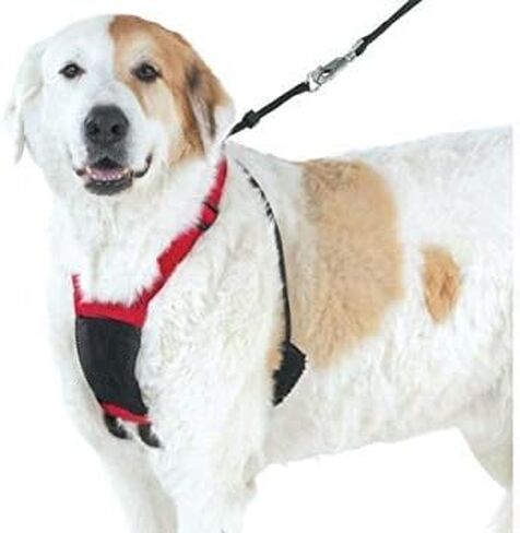 حزام شبكي مضاد للسحب من يوبي بابي، مقاسات متعددة (متوسط، أحمر) in Kuwait