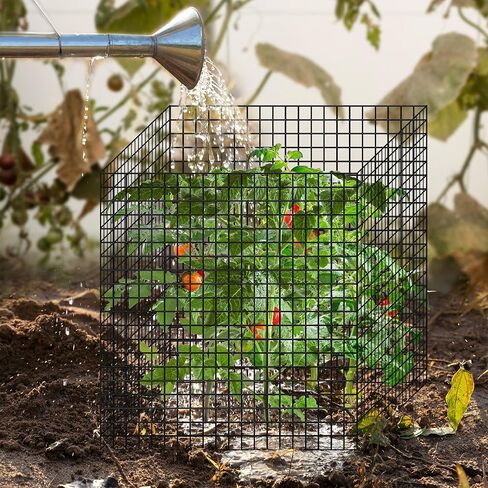 12 Pics DIY Metal Plant Protectors from Deer, Garden Fencing Animal Barrier Size 11.8 * 11.8 inches, Mesh Plant Cage Chicken Wire Cloche for Plants with Stakes and Nylon Cables (12 Pcs) in Kuwait