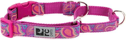 طوق كلب لتدريب الكلاب من آر سي بيتس مقاس 1 بوصة، مقاس 1 بوصة، مقاس كبير، بيزلي ساطع in Kuwait