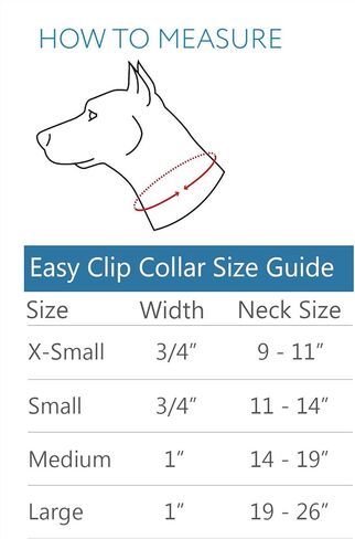 طوق كلب لتدريب الكلاب من آر سي بيتس مقاس 1 بوصة، مقاس 1 بوصة، مقاس كبير، بيزلي ساطع in Kuwait