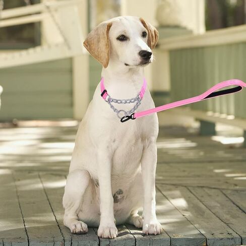 Serijoars Martingale Dog Collar, Trainer Approved Limited Slip Collar with Stainless Steel Chain, Modified Cinch Collar for Gentle & Effective Pet Training (Pink Set, S) in Saudi Arabia