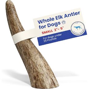 Large 3 Pack Whole Elk Antlers for Dogs [Long Lasting] - Elk Bones for Dogs Humanely Sourced - Elk Horns for Dogs - Dog Elk Antler Chews - Antlers for Large Dogs 60-85 Pounds