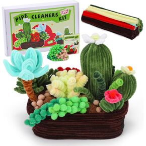 Craft Pipe Cleaners Set, Cactus Potting Material Package Include Pipe Cleaners,Pom Poms, Foam Balls, Suitable for Decorating Rooms Cars as Ornaments, Christmas and Birthday Present for Family Friends