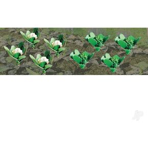 Gardening Plants Broccoli and Cauliflowers O Scale Hobby Train Sceneries