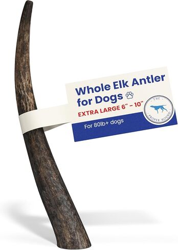 Large 3 Pack Whole Elk Antlers for Dogs [Long Lasting] - Elk Bones for Dogs Humanely Sourced - Elk Horns for Dogs - Dog Elk Antler Chews - Antlers for Large Dogs 60-85 Pounds in Saudi Arabia