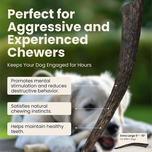 Large 3 Pack Whole Elk Antlers for Dogs [Long Lasting] - Elk Bones for Dogs Humanely Sourced - Elk Horns for Dogs - Dog Elk Antler Chews - Antlers for Large Dogs 60-85 Pounds in Saudi Arabia