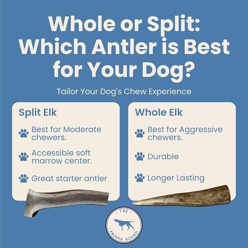 Large 3 Pack Whole Elk Antlers for Dogs [Long Lasting] - Elk Bones for Dogs Humanely Sourced - Elk Horns for Dogs - Dog Elk Antler Chews - Antlers for Large Dogs 60-85 Pounds in Saudi Arabia