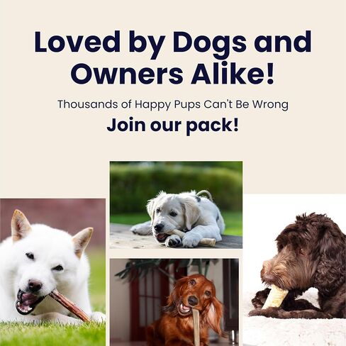 Large 3 Pack Whole Elk Antlers for Dogs [Long Lasting] - Elk Bones for Dogs Humanely Sourced - Elk Horns for Dogs - Dog Elk Antler Chews - Antlers for Large Dogs 60-85 Pounds in Saudi Arabia