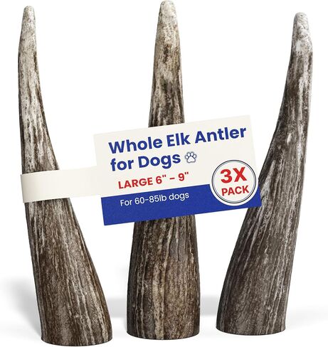 Large 3 Pack Whole Elk Antlers for Dogs [Long Lasting] - Elk Bones for Dogs Humanely Sourced - Elk Horns for Dogs - Dog Elk Antler Chews - Antlers for Large Dogs 60-85 Pounds in Saudi Arabia