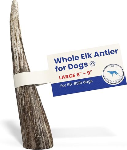 Large 3 Pack Whole Elk Antlers for Dogs [Long Lasting] - Elk Bones for Dogs Humanely Sourced - Elk Horns for Dogs - Dog Elk Antler Chews - Antlers for Large Dogs 60-85 Pounds in Saudi Arabia