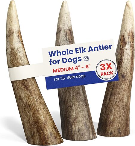 Large 3 Pack Whole Elk Antlers for Dogs [Long Lasting] - Elk Bones for Dogs Humanely Sourced - Elk Horns for Dogs - Dog Elk Antler Chews - Antlers for Large Dogs 60-85 Pounds in Saudi Arabia
