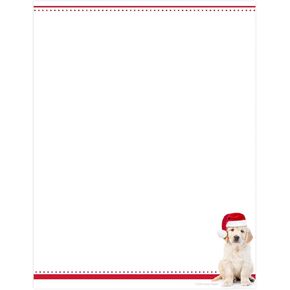 Pine Sprigs Greenery Letterhead / 40 Festive Holiday Printer Sheets / 8.5" x 11" Evergreen Tree Christmas Paper/Decorative Winter Floral Stationery