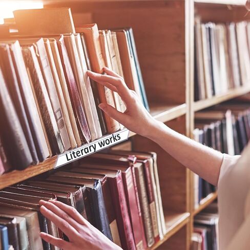 10 قطع من حاملات ملصقات الرف المتحركة، علامات أرفف شفافة، علامات رف مكتبة متحركة، حامل عرض بطاقات شفافة لأرفف كتب المكتبات والفصول الدراسية في السوبر ماركت in Saudi Arabia