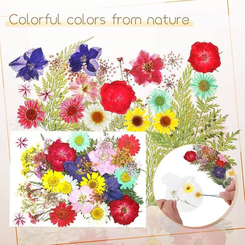 TaoBary 81 Pcs DIY Transparent Dried Flower Bookmark Set Include Clear Bookmarks Dried Flowers Colorful Tassels and Tweezer Handmade Dried Floral Bookmark for Book Bottle Supplies(Classic) in Saudi Arabia
