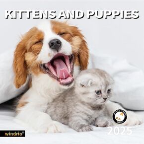 2026 Wall Calendar, July 2025 - December 2026, Wall Calendar Corgis, 12" x 24" Opened,Full Page Months Thick & Sturdy Paper for Calendar Organizing & Planning