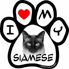 I Love My Siamese Image Paw Car Magnet, 5-1/2-Inch by 5-1/2-Inch