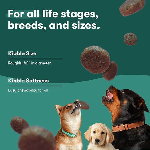 Jinx Premium Dry Dog Food Sampler, Atlantic Salmon Kibble, Cage Free Chicken Kibble, Grass-Fed Beef Kibble, No Fillers, for All Lifestages, 4lbs Each in Saudi Arabia