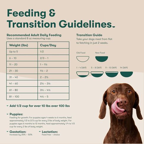 Jinx Premium Dry Dog Food Sampler, Atlantic Salmon Kibble, Cage Free Chicken Kibble, Grass-Fed Beef Kibble, No Fillers, for All Lifestages, 4lbs Each in Saudi Arabia