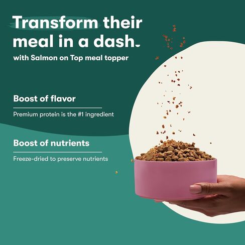 Jinx Premium Dry Dog Food Sampler, Atlantic Salmon Kibble, Cage Free Chicken Kibble, Grass-Fed Beef Kibble, No Fillers, for All Lifestages, 4lbs Each in Saudi Arabia