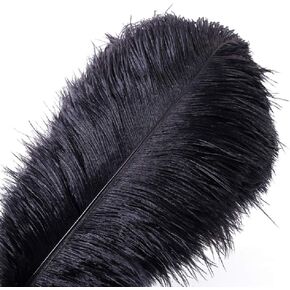 10pcs Natural Ostrich Feathers Plume 14-16inch(35-40cm) for Wedding Centerpieces Home Decoration (14-16inch,Black)