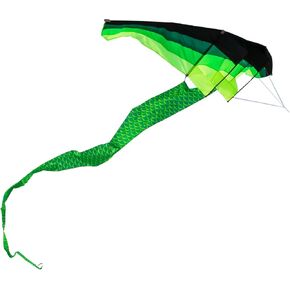 Professional Adult Kite with Long Tail - Huge,Beautiful Aircraft Kite,Huge Beach Kite,No Kite String,Box Kite,Giant Kite,Big 3D Kite