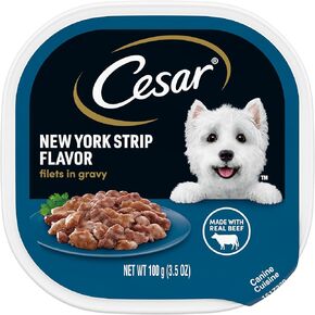 CESAR Adult Soft Wet Dog Food Filets in Gravy, New York Strip Flavor, 3.5 oz. Tray